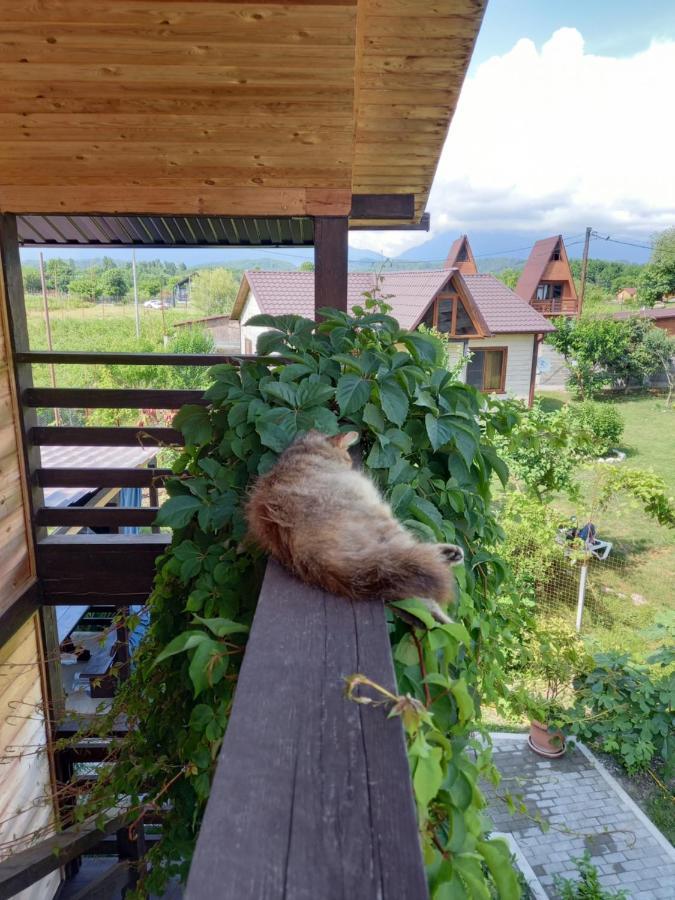 Гостевой Дом Фазенда Hotel Pitsoenda Buitenkant foto
